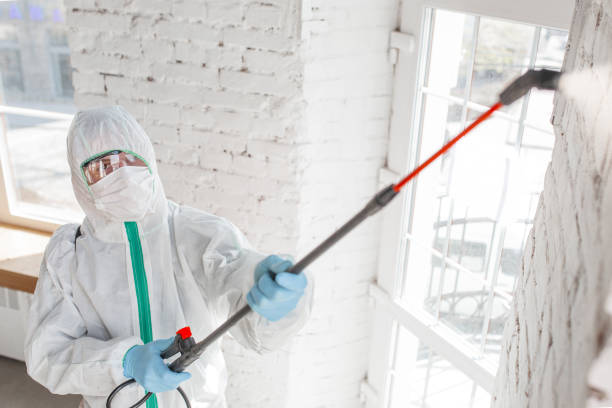 Best Mold Damage Restoration  in Lakeland, FL