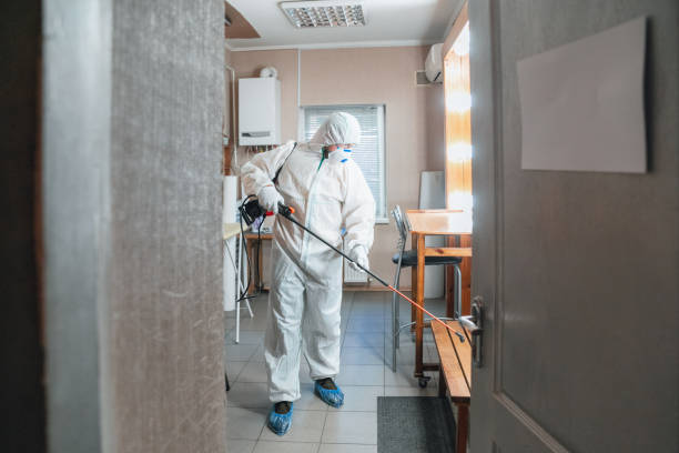 Best Indoor Air Quality Assessment  in Lakeland, FL