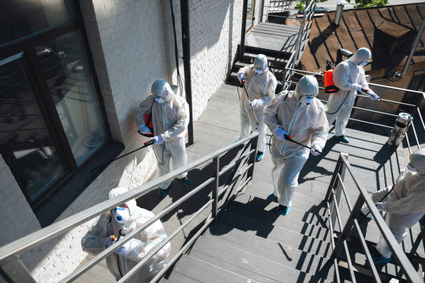 Best Black Mold Removal  in Lakeland, FL