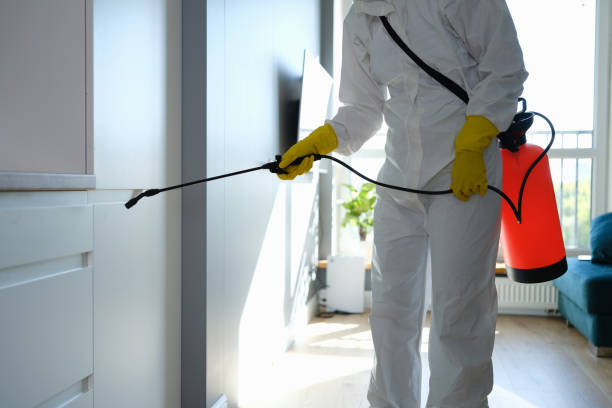 Best Biohazard Mold Removal  in Lakeland, FL